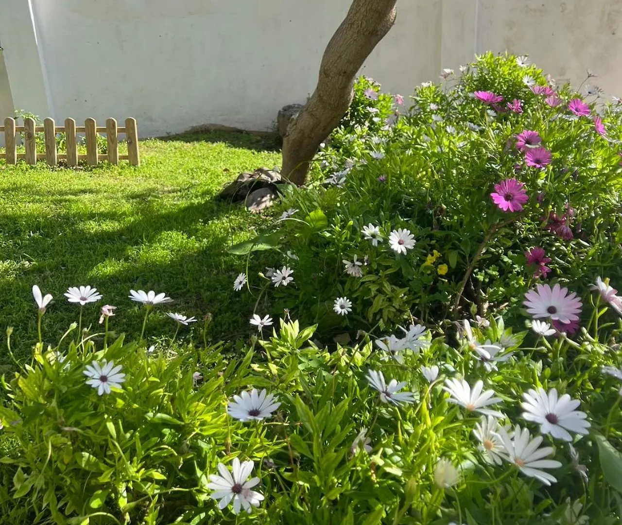 Guest house Marbella别墅独立房带泳池